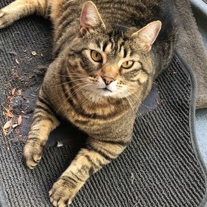 Meet your Posher, Haley